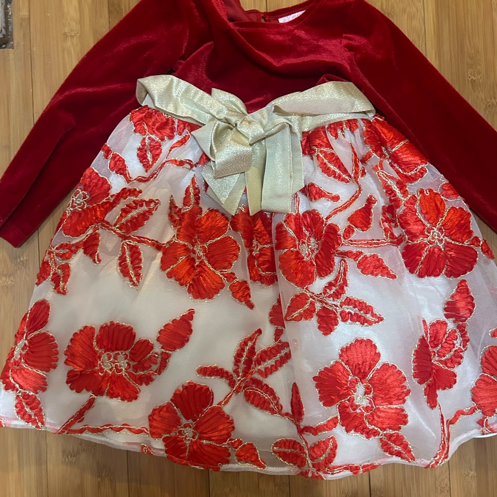 Little Girls size 5 gorgeous holiday dress